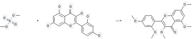 4H-1-Benzopyran-4-one,2-(2,4-dihydroxyphenyl)-3,5,7-trihydroxy- can be used to produce 2-(2,4-dimethoxy-phenyl)-3,5,7-trimethoxy-chromen-4-one by heating